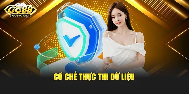 Cơ chế thực thi dữ liệu