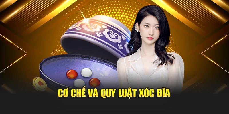 Cơ chế và quy luật xóc đĩa